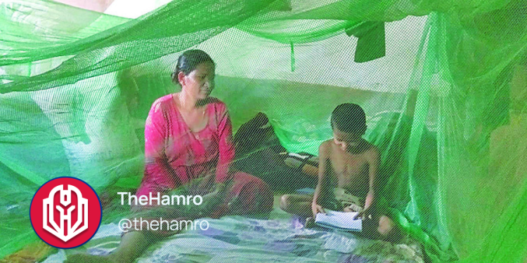 Nepal Misses Malaria Elimination Target Again, New Deadline Set for 2030