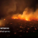 Hawaii wildfires kill 36 as ‘apocalypse’ hits Maui island resort city